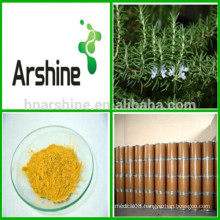 Nutritional Supplements Rosemary Leaf Extract 3%-20% Rosmarinic Acid powder